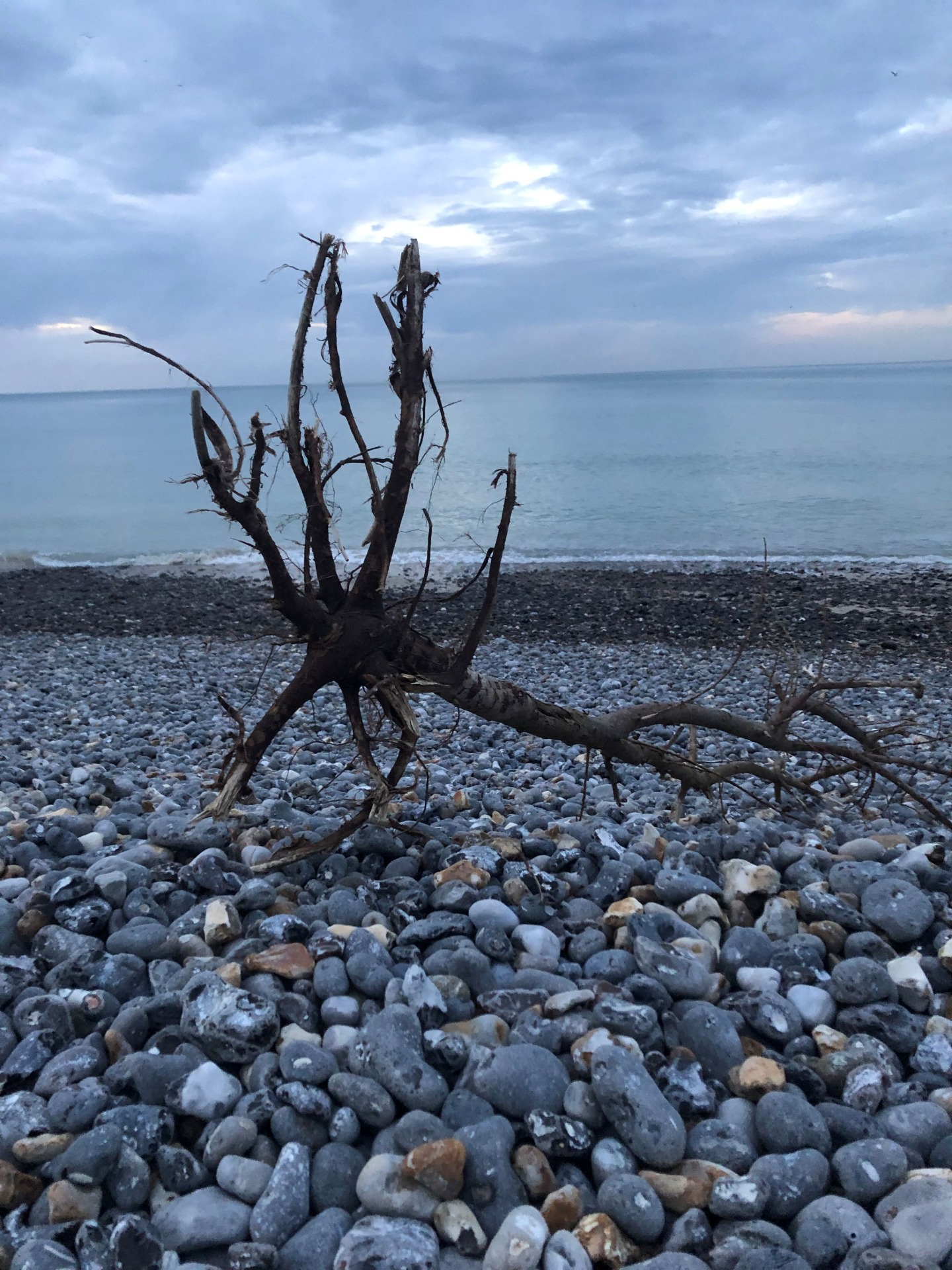 Sculpture en bois flotté sur une plage de la Manche. Objet et photo créés par Bruno Antoine.